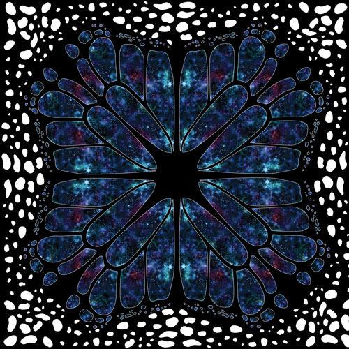 Galaxy Butterflies Circle Skirt